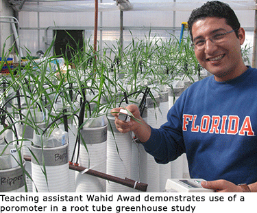 Wahid in the greenhouse